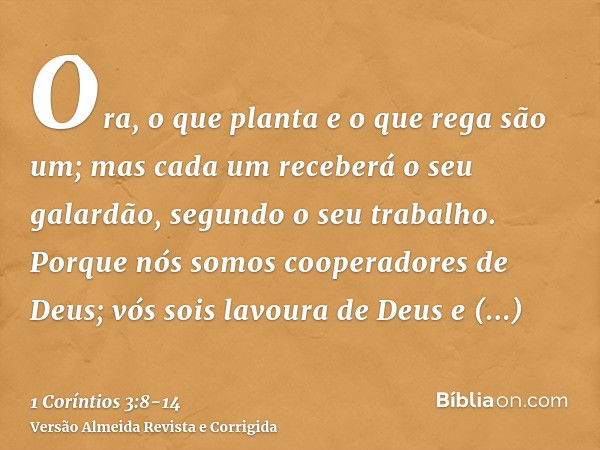 Ora, o que planta e o que rega são um; mas cada um receberá o seu galardão, segundo o seu trabalho.Porque nós somos cooperadores de Deus; vós sois lavoura de De