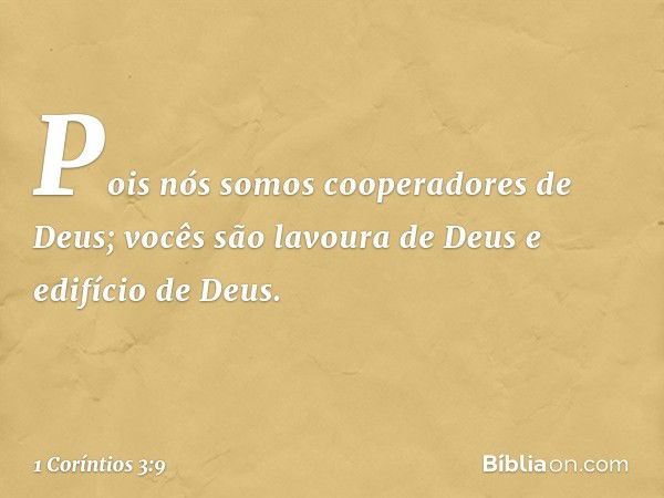 Pois nós somos cooperadores de Deus; vocês são lavoura de Deus e edifício de Deus. -- 1 Coríntios 3:9