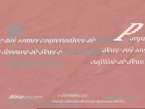 Porque nós somos cooperadores de Deus; vós sois lavoura de Deus e edifício de Deus.
