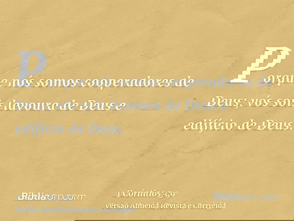 Porque nós somos cooperadores de Deus; vós sois lavoura de Deus e edifício de Deus.