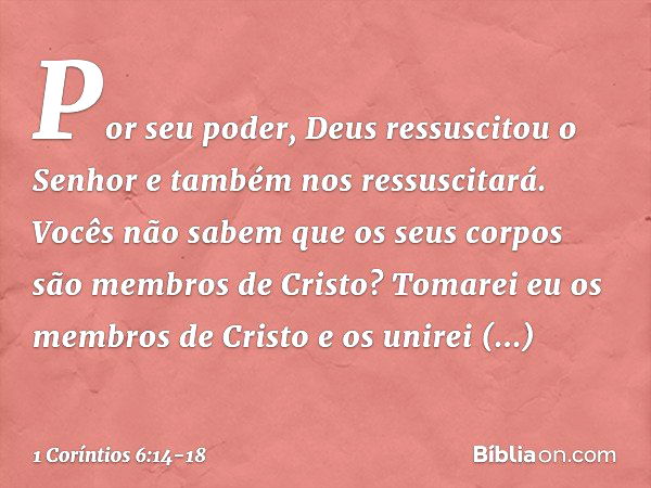 Por seu poder, Deus ressuscitou o Senhor e também nos ressuscitará. Vocês não sabem que os seus corpos são membros de Cristo? Tomarei eu os membros de Cristo e 