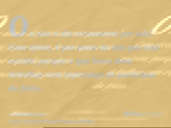 Ou não o diz certamente por nós? Com efeito, é por amor de nós que está escrito; porque o que lavra deve debulhar com esperança de participar do fruto.