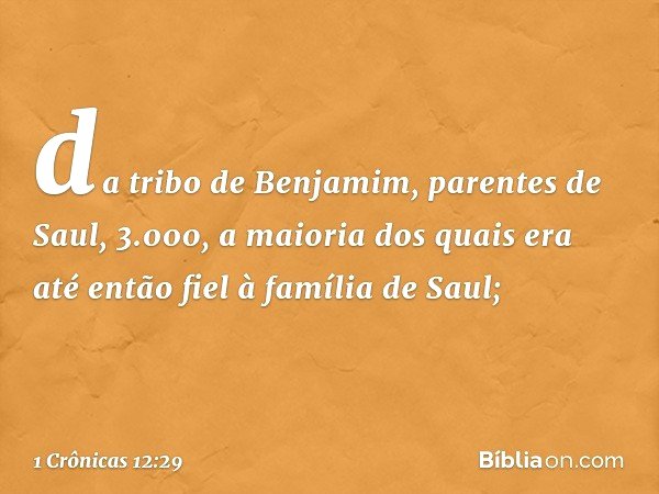 da tribo de Benjamim, parentes de Saul, 3.000, a maioria dos quais era até então fiel à família de Saul; -- 1 Crônicas 12:29