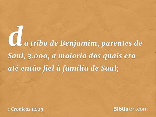 da tribo de Benjamim, parentes de Saul, 3.000, a maioria dos quais era até então fiel à família de Saul; -- 1 Crônicas 12:29