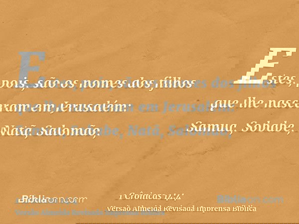 Estes, pois, são os nomes dos filhos que lhe nasceram em Jerusalém: Samua, Sobabe, Natã, Salomão,