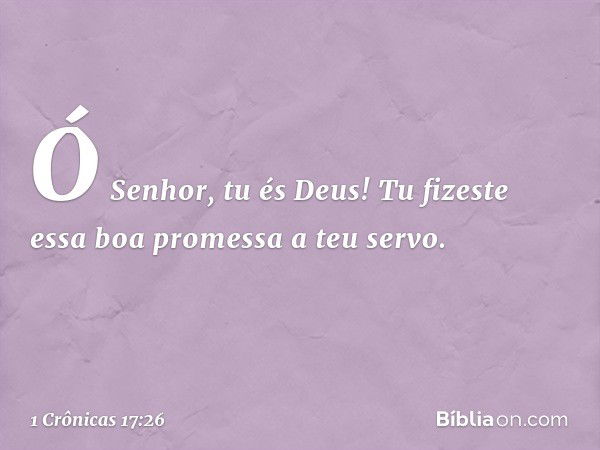 Ó Senhor, tu és Deus! Tu fizeste essa boa promessa a teu servo. -- 1 Crônicas 17:26