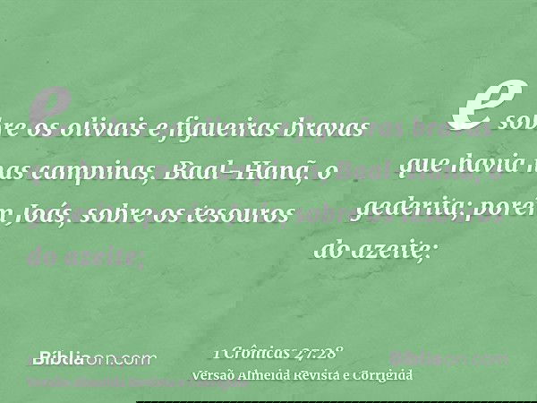 e sobre os olivais e figueiras bravas que havia nas campinas, Baal-Hanã, o gederita; porém Joás, sobre os tesouros do azeite;