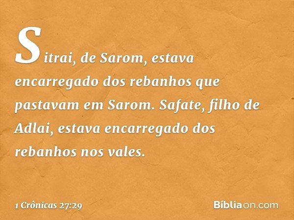 Sitrai, de Sarom, estava encarregado dos rebanhos que pastavam em Sarom.
Safate, filho de Adlai, estava encarregado dos rebanhos nos vales. -- 1 Crônicas 27:29