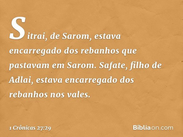 Sitrai, de Sarom, estava encarregado dos rebanhos que pastavam em Sarom.
Safate, filho de Adlai, estava encarregado dos rebanhos nos vales. -- 1 Crônicas 27:29