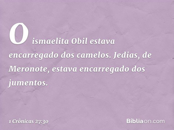 O ismaelita Obil estava encarregado dos camelos.
Jedias, de Meronote, estava encarregado dos jumentos. -- 1 Crônicas 27:30