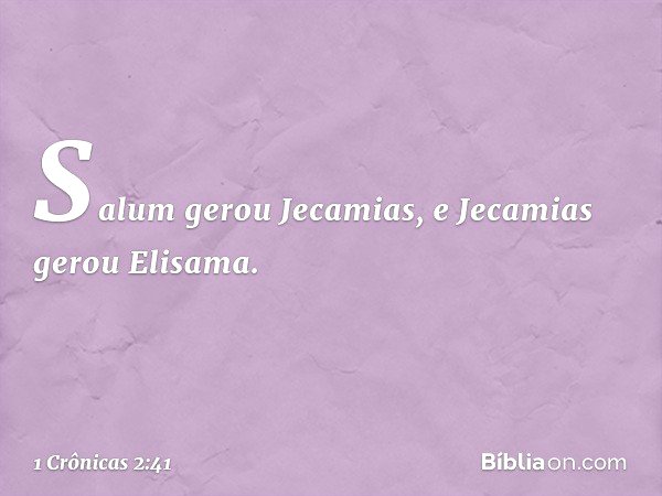 Salum gerou Jecamias, e Jecamias gerou Elisama. -- 1 Crônicas 2:41