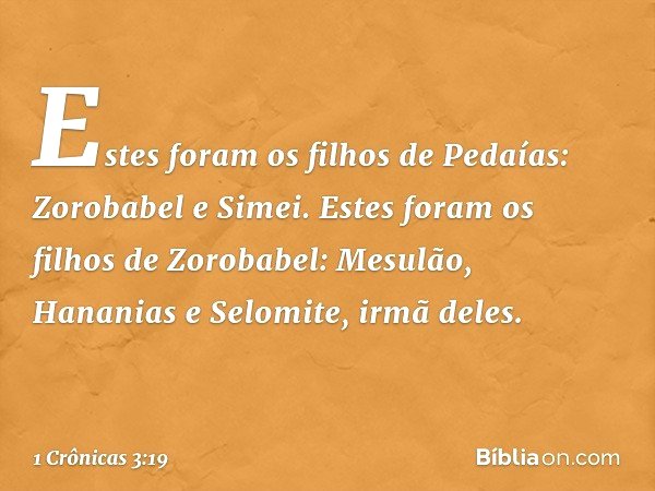 Estes foram os filhos de Pedaías:
Zorobabel e Simei.
Estes foram os filhos de Zorobabel:
Mesulão, Hananias e
Selomite, irmã deles. -- 1 Crônicas 3:19