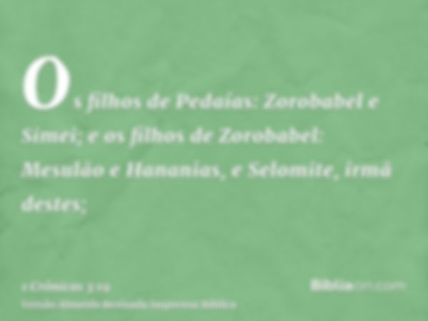 Os filhos de Pedaías: Zorobabel e Simei; e os filhos de Zorobabel: Mesulão e Hananias, e Selomite, irmã destes;