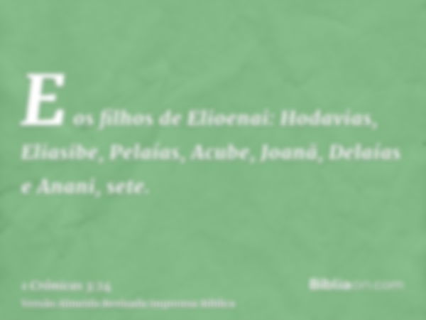 E os filhos de Elioenai: Hodavias, Eliasibe, Pelaías, Acube, Joanã, Delaías e Anani, sete.