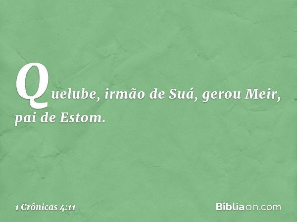 Quelube, irmão de Suá, gerou Meir, pai de Estom. -- 1 Crônicas 4:11