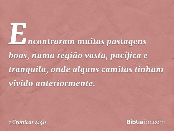 Encontraram muitas pastagens boas, numa região vasta, pacífica e tranquila, onde alguns camitas tinham vivido anteriormente. -- 1 Crônicas 4:40