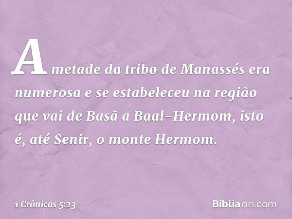 A metade da tribo de Manassés era numerosa e se estabeleceu na região que vai de Basã a Baal-Hermom, isto é, até Senir, o monte Hermom. -- 1 Crônicas 5:23