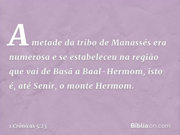 A metade da tribo de Manassés era numerosa e se estabeleceu na região que vai de Basã a Baal-Hermom, isto é, até Senir, o monte Hermom. -- 1 Crônicas 5:23