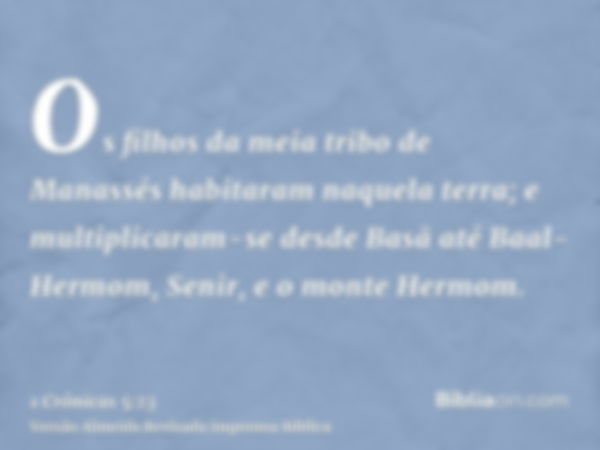 Os filhos da meia tribo de Manassés habitaram naquela terra; e multiplicaram-se desde Basã até Baal-Hermom, Senir, e o monte Hermom.