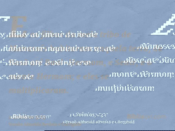 E os filhos da meia tribo de Manassés habitaram naquela terra, de Basã até Baal-Hermom, e Senir, e o monte Hermom; e eles se multiplicaram.