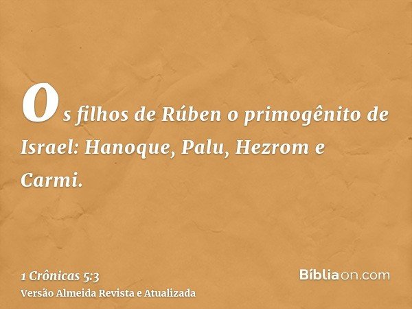 os filhos de Rúben o primogênito de Israel: Hanoque, Palu, Hezrom e Carmi.
