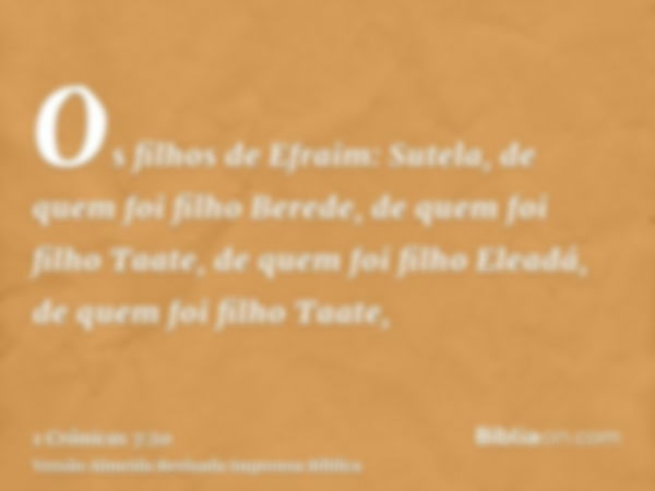 Os filhos de Efraim: Sutela, de quem foi filho Berede, de quem foi filho Taate, de quem foi filho Eleadá, de quem foi filho Taate,