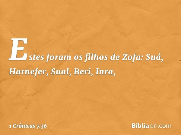 Estes foram os filhos de Zofa:
Suá, Harnefer, Sual, Beri, Inra, -- 1 Crônicas 7:36