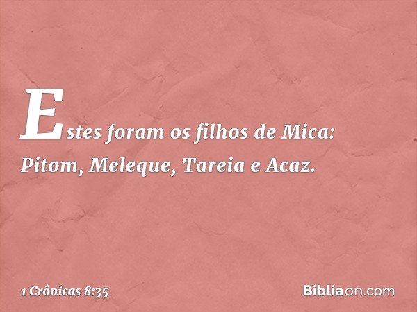 Estes foram os filhos de Mica:
Pitom, Meleque, Tareia e Acaz. -- 1 Crônicas 8:35