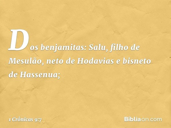 Dos benjamitas:
Salu, filho de Mesulão, neto de Hodavias e bisneto de Hassenua; -- 1 Crônicas 9:7