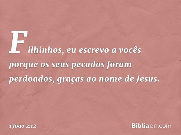 Filhinhos, eu escrevo a vocês
porque os seus pecados
foram perdoados,
graças ao nome de Jesus. -- 1 João 2:12