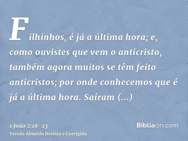 Filhinhos, é já a última hora; e, como ouvistes que vem o anticristo, também agora muitos se têm feito anticristos; por onde conhecemos que é já a última hora.S