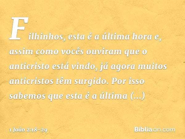 Filhinhos, esta é a última hora e, assim como vocês ouviram que o anticristo está vindo, já agora muitos anticristos têm surgido. Por isso sabemos que esta é a 