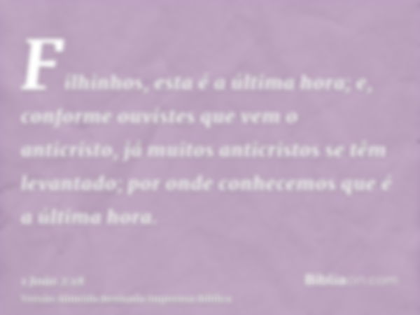 Filhinhos, esta é a última hora; e, conforme ouvistes que vem o anticristo, já muitos anticristos se têm levantado; por onde conhecemos que é a última hora.