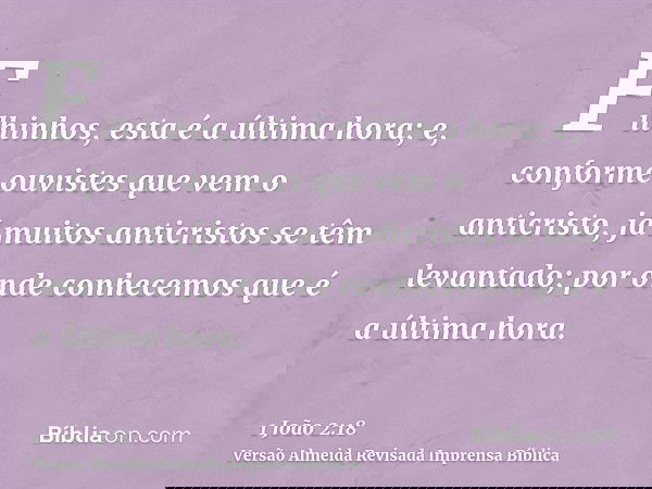 Filhinhos, esta é a última hora; e, conforme ouvistes que vem o anticristo, já muitos anticristos se têm levantado; por onde conhecemos que é a última hora.
