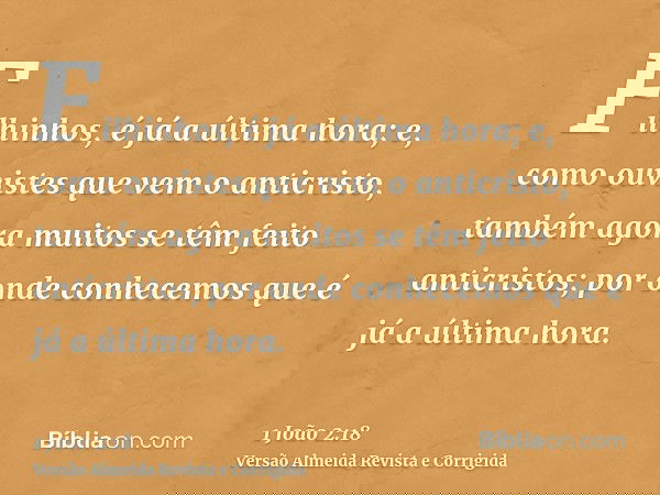 Filhinhos, é já a última hora; e, como ouvistes que vem o anticristo, também agora muitos se têm feito anticristos; por onde conhecemos que é já a última hora.