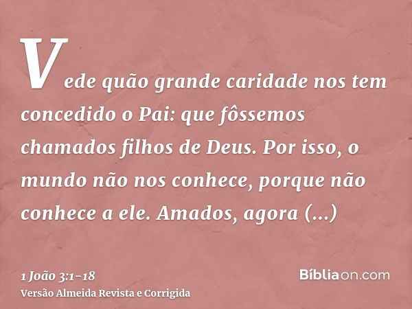 Vede quão grande caridade nos tem concedido o Pai: que fôssemos chamados filhos de Deus. Por isso, o mundo não nos conhece, porque não conhece a ele.Amados, ago