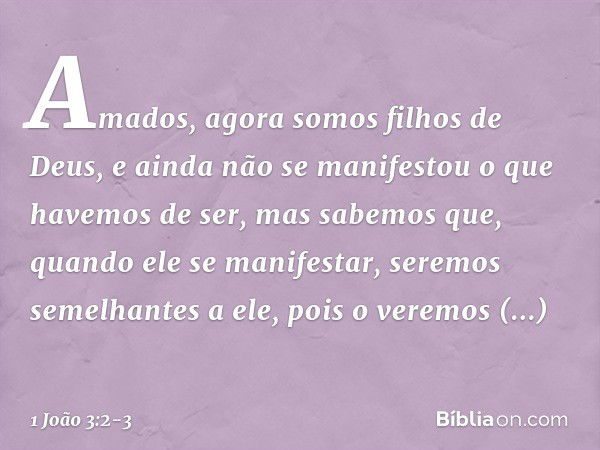 Amados, agora somos filhos de Deus, e ainda não se manifestou o que havemos de ser, mas sabemos que, quando ele se manifestar, seremos semelhantes a ele, pois o