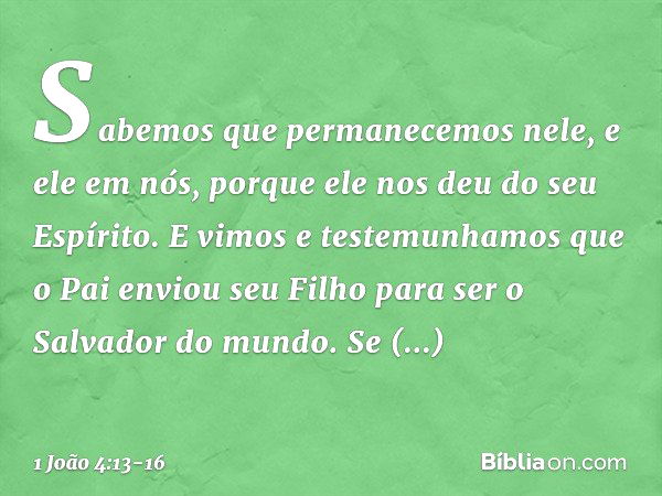 Sabemos que permanecemos nele, e ele em nós, porque ele nos deu do seu Espírito. E vimos e testemunhamos que o Pai enviou seu Filho para ser o Salvador do mundo