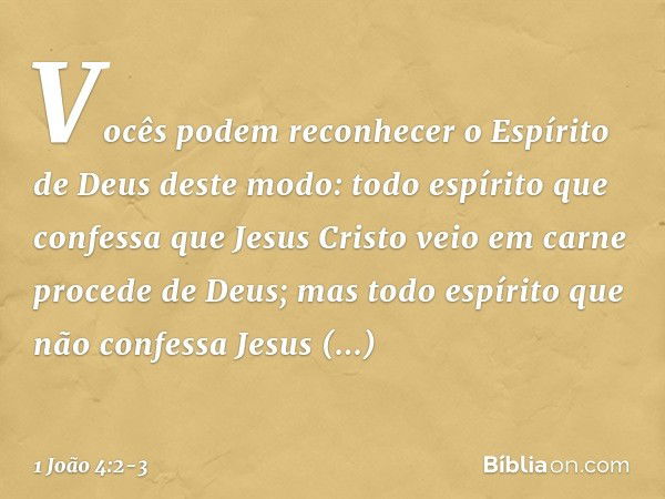 Vocês podem reconhecer o Espírito de Deus deste modo: todo espírito que confessa que Jesus Cristo veio em carne procede de Deus; mas todo espírito que não confe