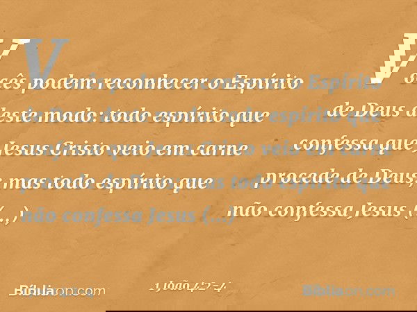 Vocês podem reconhecer o Espírito de Deus deste modo: todo espírito que confessa que Jesus Cristo veio em carne procede de Deus; mas todo espírito que não confe
