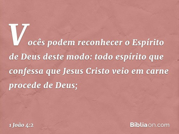 Vocês podem reconhecer o Espírito de Deus deste modo: todo espírito que confessa que Jesus Cristo veio em carne procede de Deus; -- 1 João 4:2