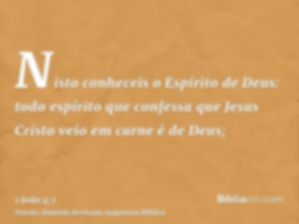 Nisto conheceis o Espírito de Deus: todo espírito que confessa que Jesus Cristo veio em carne é de Deus;