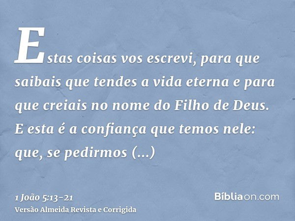 Estas coisas vos escrevi, para que saibais que tendes a vida eterna e para que creiais no nome do Filho de Deus.E esta é a confiança que temos nele: que, se ped