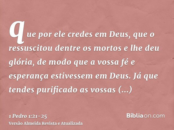 que por ele credes em Deus, que o ressuscitou dentre os mortos e lhe deu glória, de modo que a vossa fé e esperança estivessem em Deus.Já que tendes purificado 