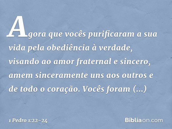 Agora que vocês purificaram a sua vida pela obediência à verdade, visando ao amor fraternal e sincero, amem sinceramente uns aos outros e de todo o coração. Voc