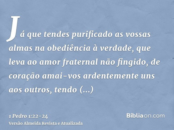 Já que tendes purificado as vossas almas na obediência à verdade, que leva ao amor fraternal não fingido, de coração amai-vos ardentemente uns aos outros,tendo 