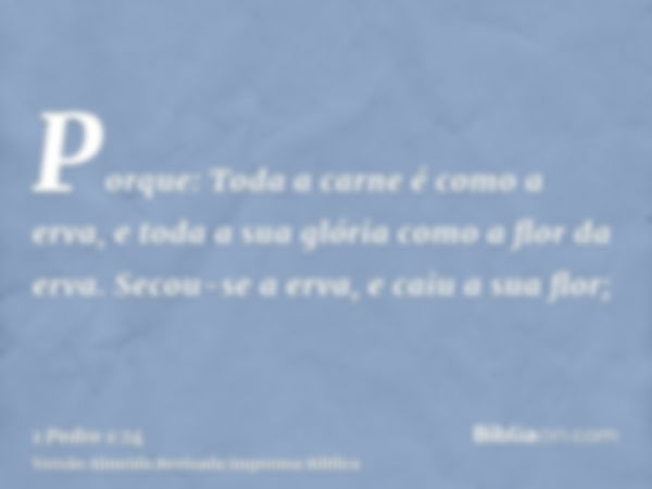 Porque: Toda a carne é como a erva, e toda a sua glória como a flor da erva. Secou-se a erva, e caiu a sua flor;