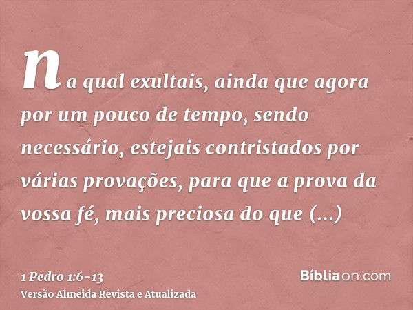 na qual exultais, ainda que agora por um pouco de tempo, sendo necessário, estejais contristados por várias provações,para que a prova da vossa fé, mais precios