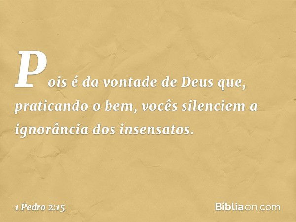 Pois é da vontade de Deus que, praticando o bem, vocês silenciem a ignorância dos insensatos. -- 1 Pedro 2:15