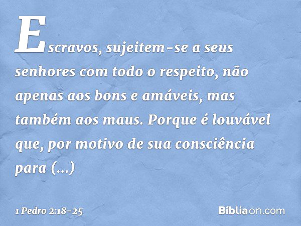 Escravos, sujeitem-se a seus senhores com todo o respeito, não apenas aos bons e amáveis, mas também aos maus. Porque é louvável que, por motivo de sua consciên